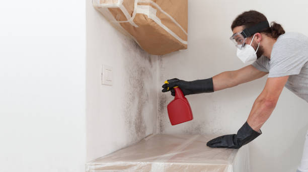 Professional Mold Removal technician working in Cedar Park, TX